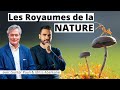 Les 5 royaumes de la nature  gunter pauli et idriss aberkane