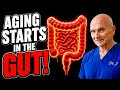 3 Simple Steps to Restore Your Gut Microbiome Naturally
