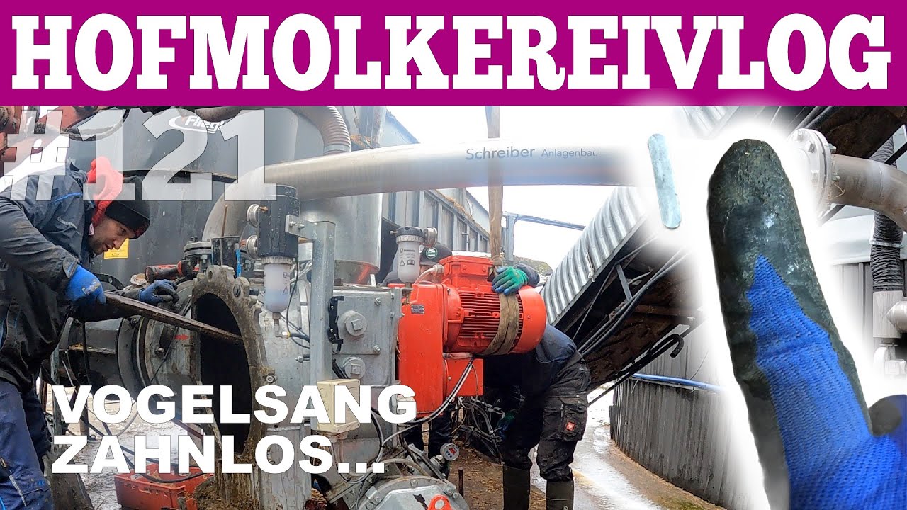 Hofmolkerei VLOG#121 Vogelsang Rotocut Zahnlos! Schon wieder reparieren! Der Hofmolkerei Farmvlog