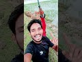 बदमाश हवाई जान हमार उत्तर प्रदेश अप 33 रायबरेली