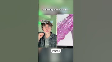 #pov Everyone Holds A Certain Amount Of Data  Pt 2