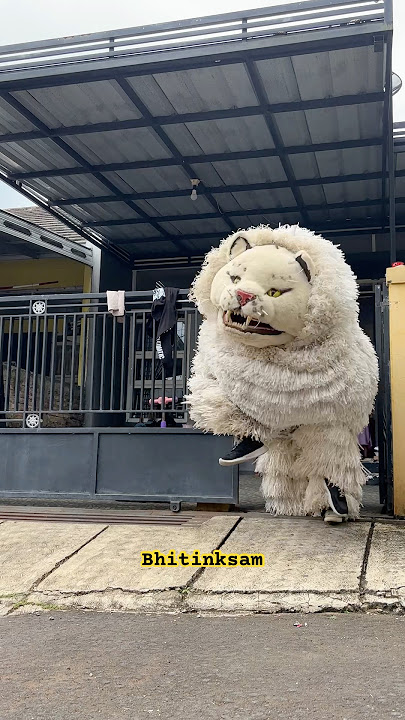 Can Macanan Keluar dari rumah #burok #burokbrm