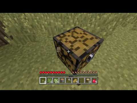 Survil Minecraft