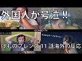 外国人が号泣 けものフレンズ11話ショック 海外の反応