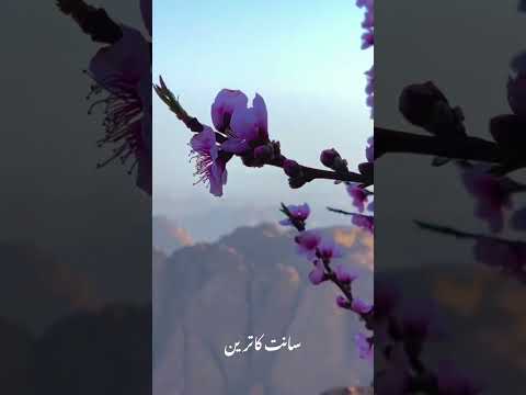 ماشاء الله على ابداع الخالق جبل سانت كاترين في مصر