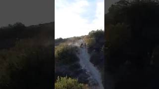 2025 01 24 Dog Park Car Crash Mark Drop