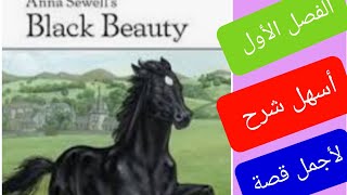 الفصل الاول /قصة Black Beauty /أولى إعدادى مع حل التدريبات