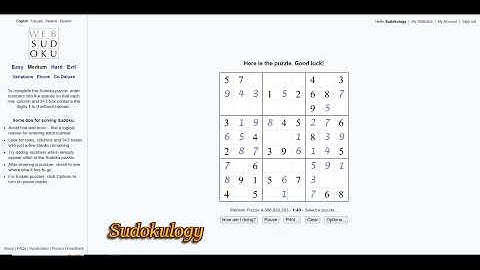 Sudoku Puzzle no  28 | Sudokulogy