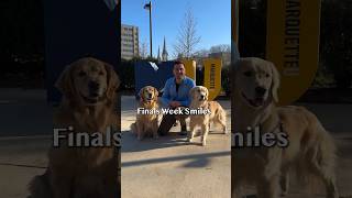 Dogs surprise students during finals week