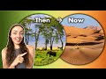 Sahara Desert Evolution Quiz