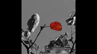 Maybe I maybe You -Viktoria Sheiko & Pierre Edel