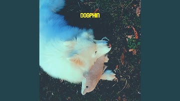 Dogphin
