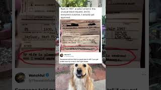 Is He Just Gonna Be Watching Or