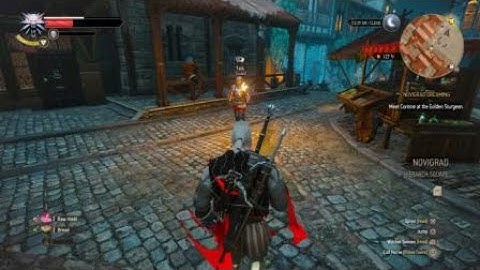 The Witcher 3: Wild Hunt texture glitch