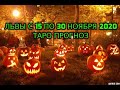 Львы с 15 по 30 Ноября 2020 Таро Прогноз