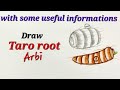 Arbi drawing easy,Taro root drawing,Ghuiyan drawing easy,Arvi vegetable drawing easy, अरबी का चित्र