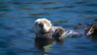Cannery Row, Ca - Adventures Kayaking In Cannery Row