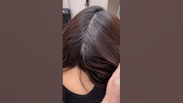 Grey Hair Fix with #GuyTang Shadow Ash 6.