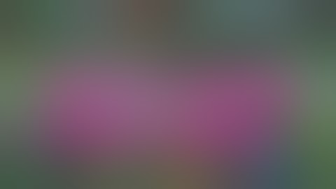 DRONE MAP TERBARU PACTH MATILDA