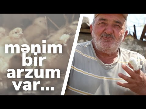 Video: Rotşildin Ferması