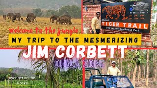 Exploring Jim Corbett National park|Jeep Safari @Dhela Zone|