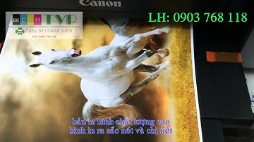 Lắp bộ mực in liên tục, bộ tiếp mực ngoài canon pixma pro 100 -0903768118