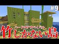 【マイクラ】竹で竹を作ろうぜ　竹しかない島で無人島生活 Part9【ゆっくり実況】