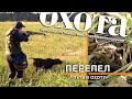 ПУТЬ В ОХОТУ. ПЕРЕПЕЛ.