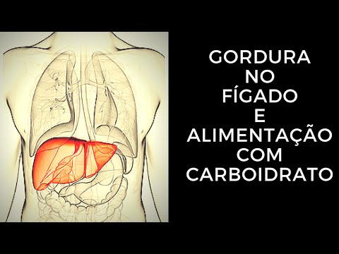Gordura no Fígado e Alimentação com Carboidrato