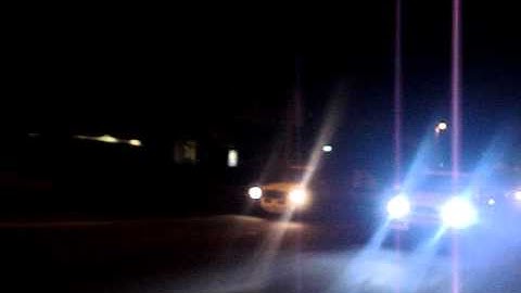 Pointer Pepe Vs Pointer Charro  Vs Caribe Polo