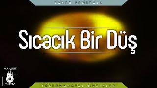 SICACIK BİR DÜŞ  - Taner DEMİRALP Resimi