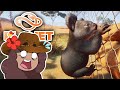 Diving Into AUSTRALIA with Escaped KOALAS?! 🐨 Planet Zoo: Outback CHALLENGE!! • #1