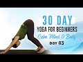 Beginners Yoga, How to do Down Dog, Warrior 1 &amp; 2 | 30 Day Yoga For A Calm Mind  w/ Eliz, Day 3
