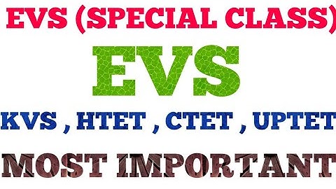 EVS (SPECIAL CLASS) || KVS , HTET, CTET,UPTET