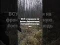10 ноября 2023 г.