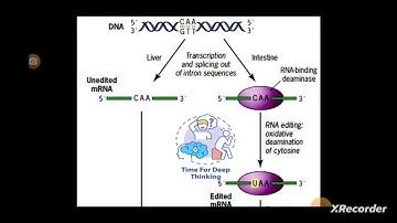 RNA EDITING(a posttranscriptional modification)//splicing