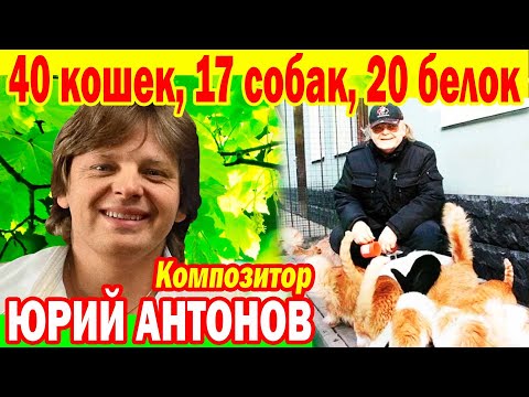 Жены НЕТ! ДЕТЯМ НЕ Нужен [ Как Сейчас ЖИВЁТ композитор Юрий Антонов ] ОЧЕНЬ Много домашних питомцев