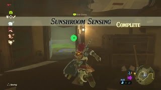 Zelda: Breath of the Wild | Sunshroom Sensing Side Quest - Hateno Tower Region