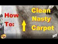 AMAZING Way To SUPER CLEAN The NASTIEST Carpet !