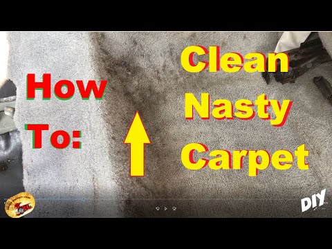 Video: How To Remove Stains From Carpet