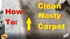AMAZING Way To SUPER CLEAN The NASTIEST Carpet ! 