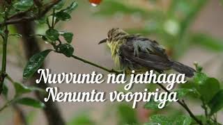 Vignette de la vidéo "nuvvunte na jathaga female version song || Dream lyrics|| I manoharudu"