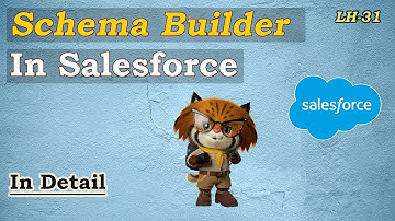 Schema Builder in Salesforce LH-31 | Salesforce Complete Course 2024