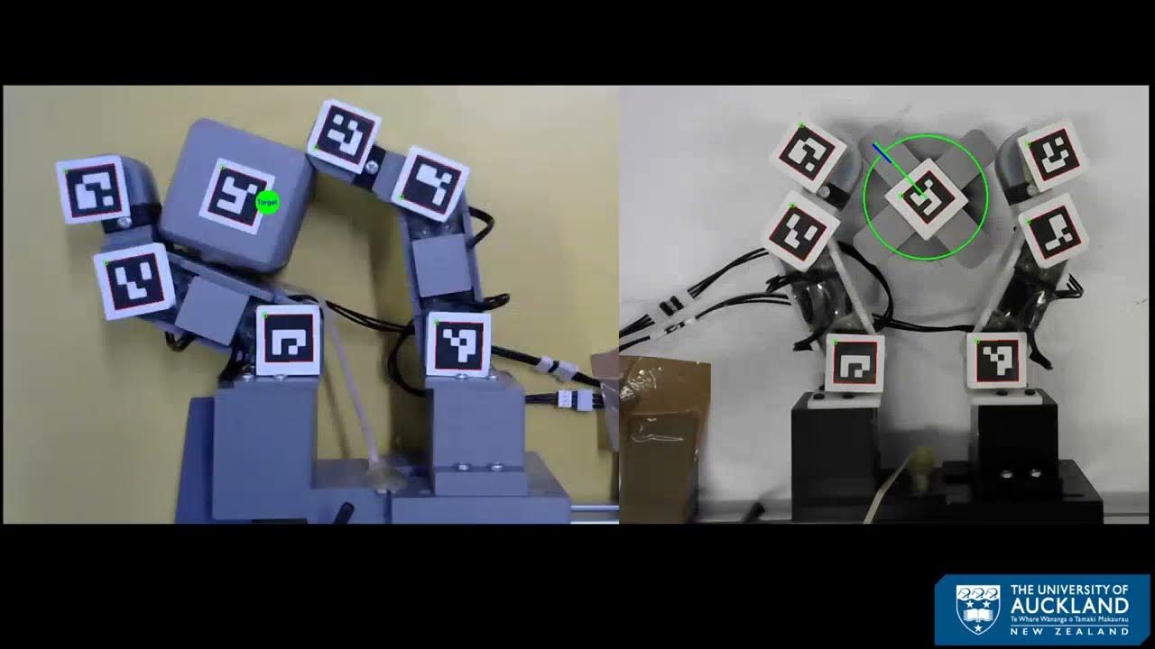 Comparison of ModelBased and ModelFree RL for RealWorld Dexterous