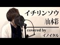 【男が歌う】イチリンソウ/山本彩 by イノイタル(ITARU INO)歌詞付きフル