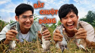 Quang BM | Bắt Chuột Đồng Mùa Lúa Chín 🐀| Catching Rats in the Field