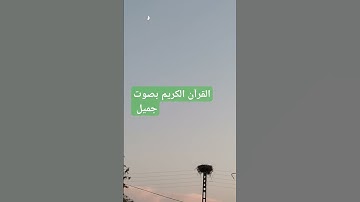 القرآن الكريم بصوت جميل #قرآن #اكسبلور #تيك_توك #اكسبلورر #لايك #اكسبلورفولو