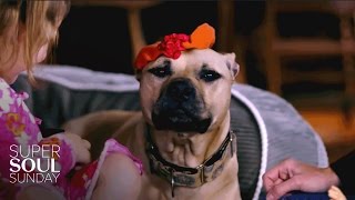 How Michael Vick's Former Dogs Got a Second Chance at Life | SuperSoul Sunday | OWN