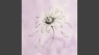 Dizzy Daisy Forever