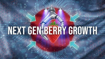 Can Robots Grow Better Strawberries? Inside Dyson’s High-Tech Glasshouse